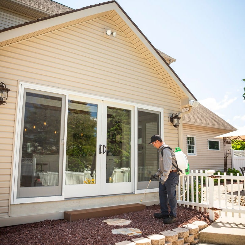 Ultimate Guide to 26 Household & Outside Pests in PA